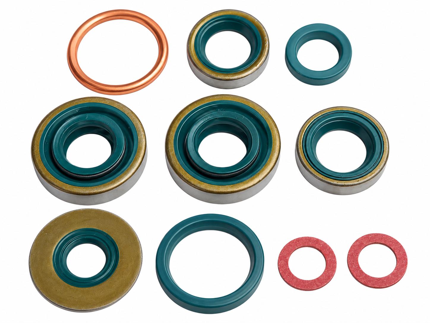 Sachs Dichtringe, Dichtungssatz Sachs 50/2