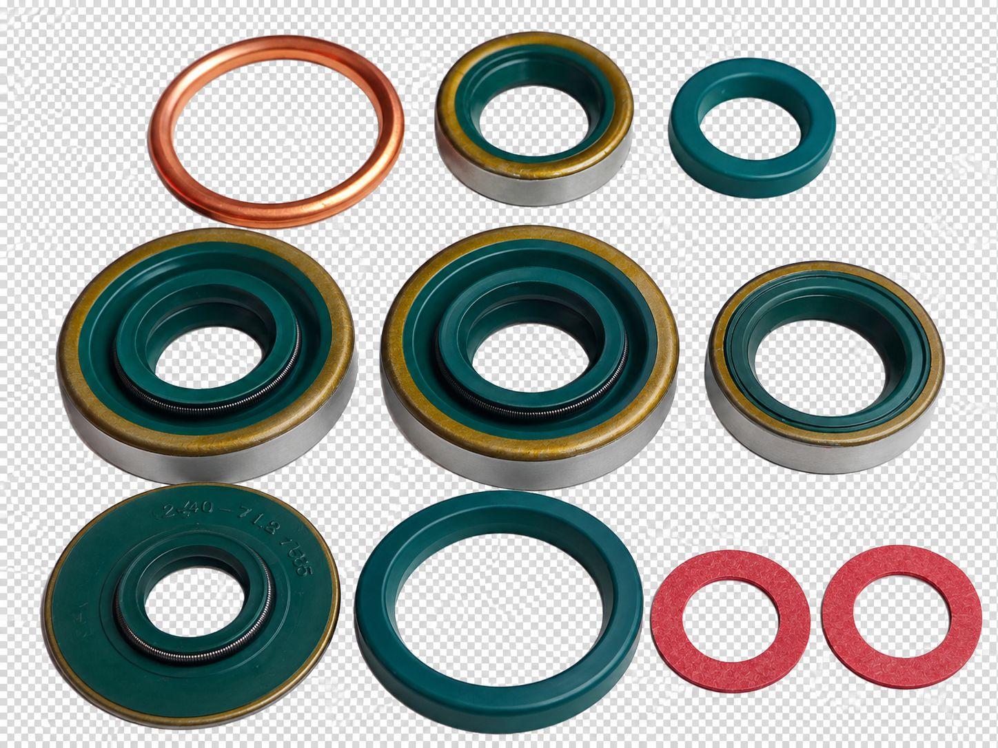 Sachs Dichtringe, Dichtungssatz Sachs 50/2